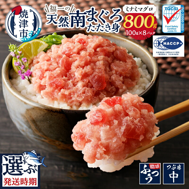 【ふるさと納税】 《 レビューキャンペーン 》 【お届け時期が選べる】 ネギトロ ねぎとろ マグロ 天然 南まぐろ使用! 100g×8パック 冷凍 小分け 流水解凍 簡単 便利 アレンジ たたき身 老舗 まぐろ専門店 包丁不要 焼津 a10-1095