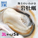 【ふるさと納税】【海士のいわがき 殻なし 3Lサイズ 5個】 岩牡蠣 生食可 冷凍 牡蛎 牡蠣 かき カキ 岩牡蠣 いわがき冷凍 父の日 お歳暮 ギフト