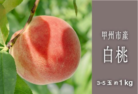 甲州市完熟白桃 『透明感ある甘さ広がる純白の果実』約1kg 3～5玉【2026年発送】（SHP）B-457