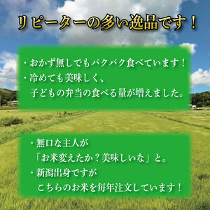 米 10kg 新野源流米 あきさかり 令和7年産 米