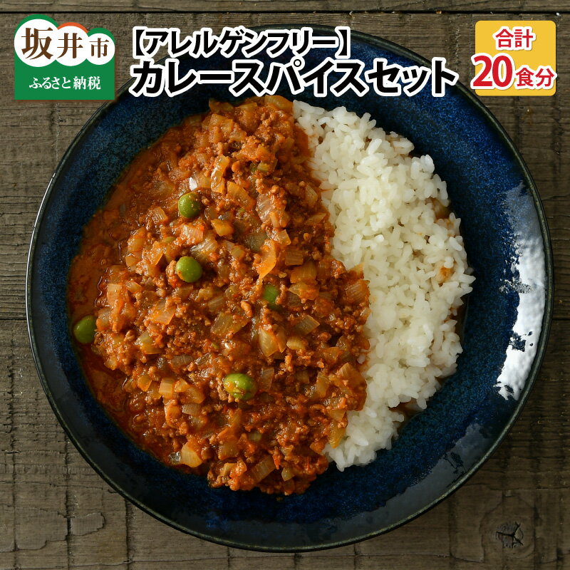 【ふるさと納税】ハーブ講師が作る教室で人気のカレースパイスセット （5食分 × 4箱）【アレルゲンフリー】 【スパイス スパイスカレー スパイスセット カレーパウダー おうちカレー カレー粉 香辛料 セット 手作り キット 薬膳カレー スープカレー ギフト】