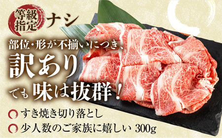 訳あり 飛騨牛 すき焼き用 切落し 300g 訳あり [S543]