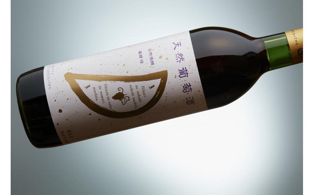 天然ワイン醸造 酸化防止剤無添加 天然葡萄酒 赤中辛 マスカットベリーA 720ml × 2本 発売元 株式会社片山