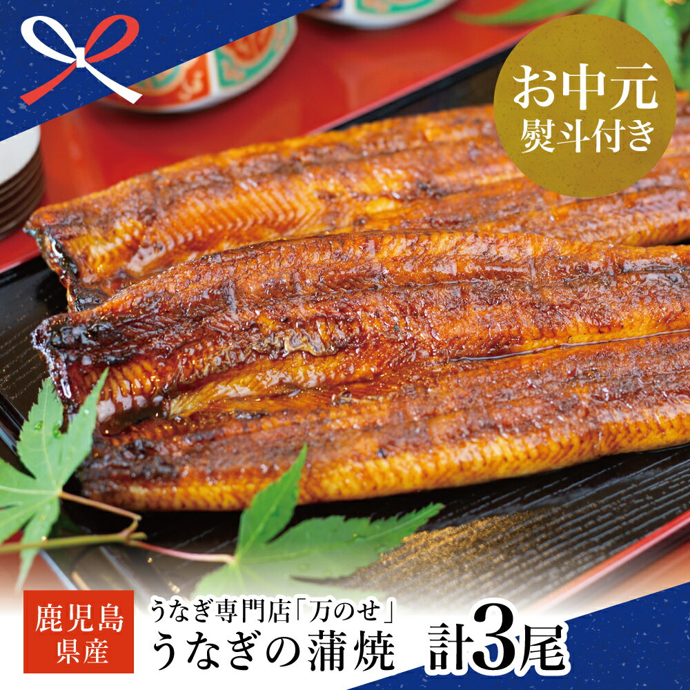【ふるさと納税】【お中元ギフト】鹿児島県産 鰻 蒲焼 3尾 うなぎ専門店「万のせ」 セット ウナギ 国産 蒲焼き うな重 たれ ひつまぶし お取り寄せ グルメ 冷凍 南さつま市 贈り物 夏ギフト 贈答用 送料無料 のし対応 お中元熨斗付き