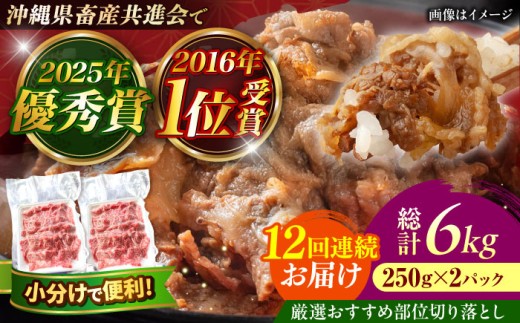 切り落とし 佐渡山牛 500g 【全12回定期便】厳選おすすめ部位 肉のサブロー [BCBC010] 沖縄県産和牛 和牛 牛 牛肉 肉 お肉 おにく にく 切り落とし きりおとし 切りおとし 沖縄県産 沖縄産 黒毛和牛 牛にく ぎゅうにく 国産 冷凍 500グラム 贈り物 贈答 お祝い 土産 お土産 送料無料 焼肉 やきにく お取り寄せ 取り寄せ ギフト グルメ おすすめ 部位 沖縄県 沖縄市