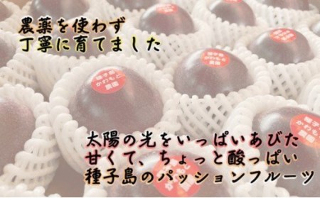  【 先行予約 】種子島 かわもと農園 パッションフルーツ サマークイーン (20個) 　NFN438【450pt】 