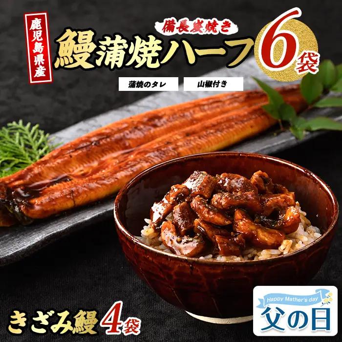 【父の日ギフト】鹿児島県産 うなぎ ハーフ6袋と きざみ 4袋のセット 奈良 IB020-005f うなぎ