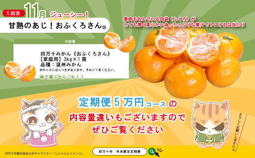 【年末限定】 5回 定期便 四万十 人気 グルメ お楽しみ しまんと ふるさと 定期便 5万円 Aコース 今だけ 限定 野菜 うなぎ 鰻 パン 冷凍パン 魚 魚介 タタキ たたき 鰹 かつお フルーツ