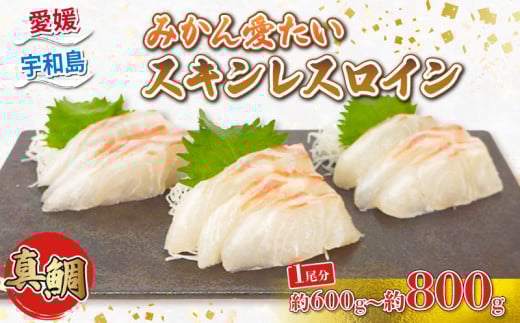 ＼10営業日以内発送／ 真鯛 みかん愛たい１尾 スキンレスロイン 600ｇ～800ｇ 南予ビージョイ  お刺身 ロイン 鯛しゃぶ カルパッチョ 鯛めし 鯛茶漬け tai 産地直送 お取り寄せ 新鮮 鍋 海鮮鍋 冷蔵 個包装 鮮魚 海の幸 魚介 国産 愛媛 宇和島 D014-150012
