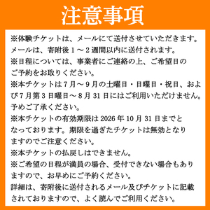 GOGOアドベンチャー ラフティング 吉野川1DAYコース 利用券1枚 観光【 ラフティング 】