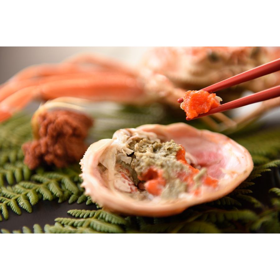 ＜北畿水産＞山陰日本海冬の味覚釜ゆでせこがに（150gサイズ/8匹入）【12月出荷分】