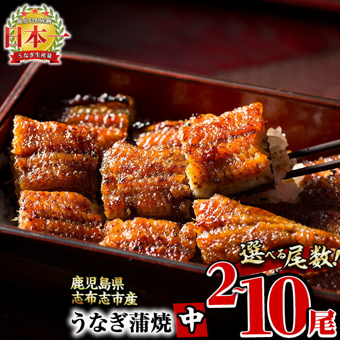 《丑の日までにお届け》鰻生産量日本一の鹿児島県産！うなぎの大楠＜中＞4尾セット計520g(130g×4)国産ウナギの蒲焼きを冷凍真空パック・たれ付きでお届け！【大楠鰻】b0-070