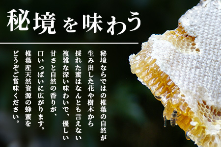 【秘境を味わう】椎葉の秘蜜 【250g×4本】国産天然はちみつ【数量限定】 MS-07