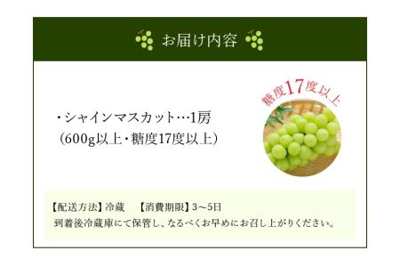 【9月上旬より発送】シャインマスカット1房【600g以上】【糖度17度以上】