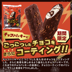 【シャトレーゼ】チョコアイスバラエティセット　アイスクリーム チョコバッキー 詰め合わせ [h028]