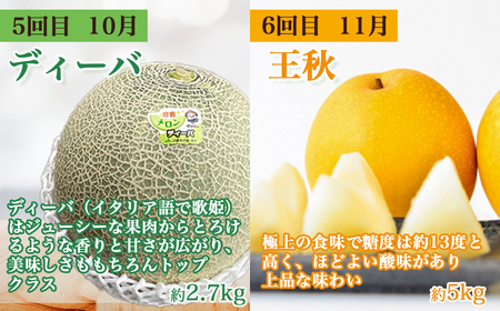【数量限定】倉吉のフルーツ定期便 2026 先行予約 【6月から6回のお届け】鳥取県 倉吉市 新甘泉 二十世紀梨 王秋 スイカ プリンスメロン ディーバメロン メロン 6回 お届け 果物 定期便 期間