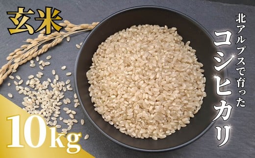 《令和7年産・新米》農家こだわりのコシヒカリ 10kg【玄米】 /長野県白馬村産 2025年産 米 コメ 白米  玄米  精米後発送 2014年特別最高金賞受賞 コンクール受賞 お米 ご飯 ごはん 送料無料【B0080659】