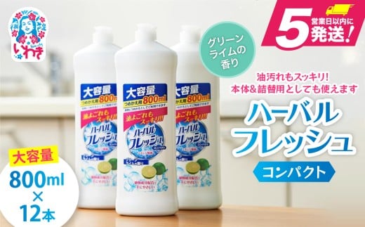 【食器用洗剤】ハーバルフレッシュコンパクト グリーンライム（詰替）【800ml×12本】｜洗濯洗剤 おすすめ 人気 衣類洗剤 詰替 抗菌 家庭用 ランドリー 日用品 ギフト 備蓄 防災
