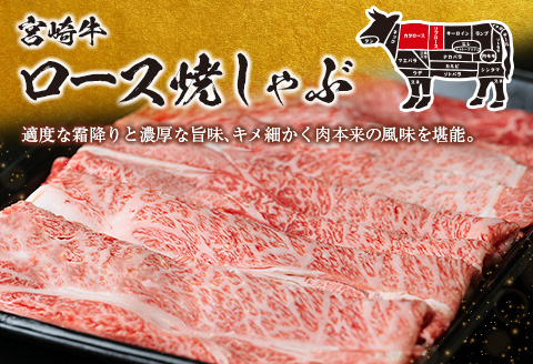 【最短2週間以内で発送】生産者応援 数量限定 宮崎牛 ロース 焼きしゃぶ 計900g 牛肉 ビーフ 黒毛和牛 ミヤチク 国産 ブランド牛 食品 おかず おすすめ 贅沢 イベント お取り寄せ グルメ パ