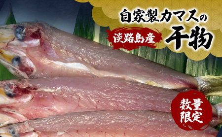 干物 淡路島産 カマス 自家製 5〜7匹 干物
