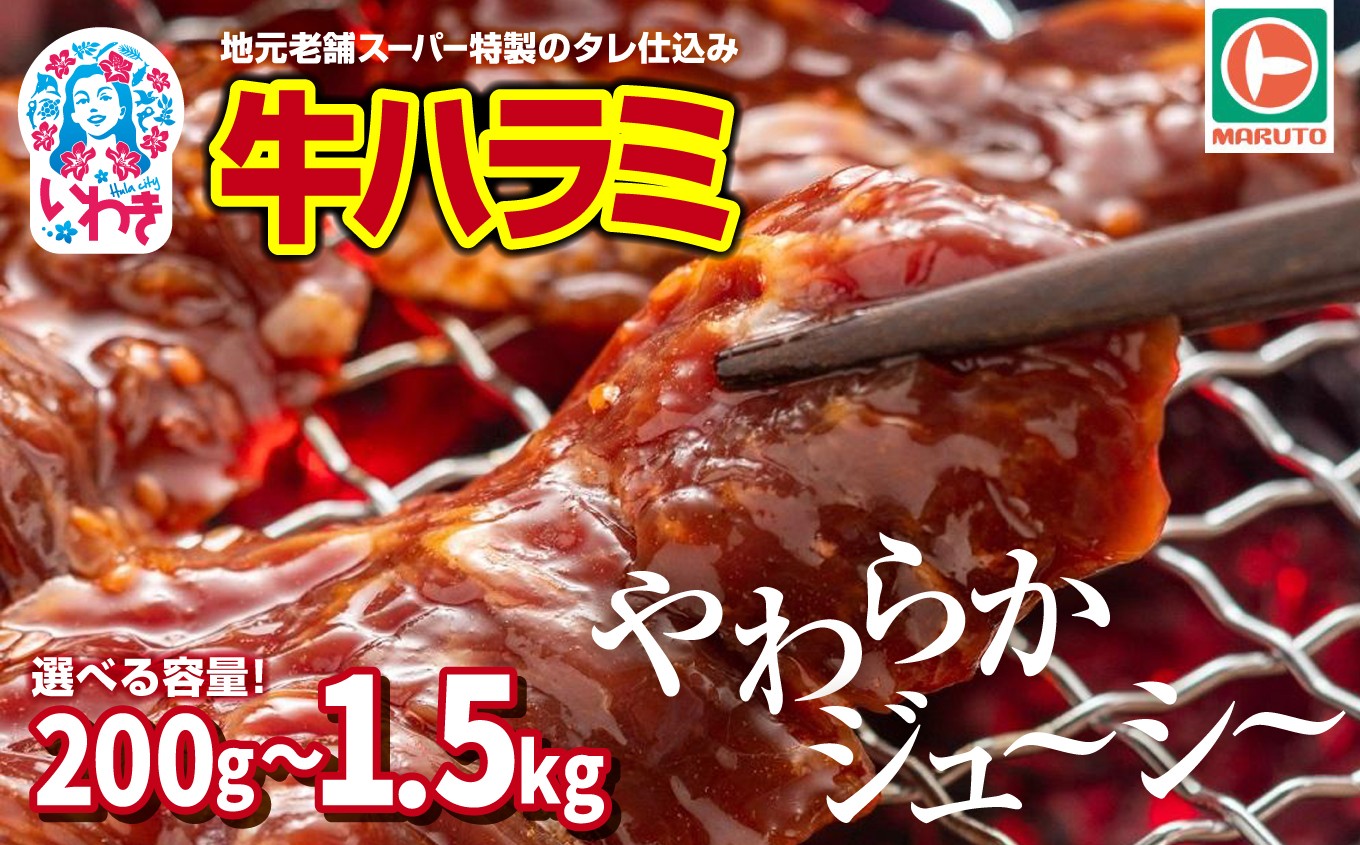 
            味付き牛ハラミ　選べる内容量（200g〜1.5kg）小分け  大容量 | 特製タレ 焼くだけ 手作業で加工 焼肉 お取り寄せ バーベキュー ふるさと納税はらみ ふるさと納税ハラミ 柔らかい やわらかい 父の日 | EQ033-oya
          