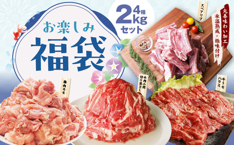 mrz0090 【お楽しみ】夏の福袋 4種 2kgセット（牛肉 切り落とし／牛ハラミ／豚肉 スペアリブ／鶏肉）【氷温熟成×極味付け 焼肉 焼くだけ 食べ比べ ふくぶくろ お楽しみ 簡単調理 期間限定】