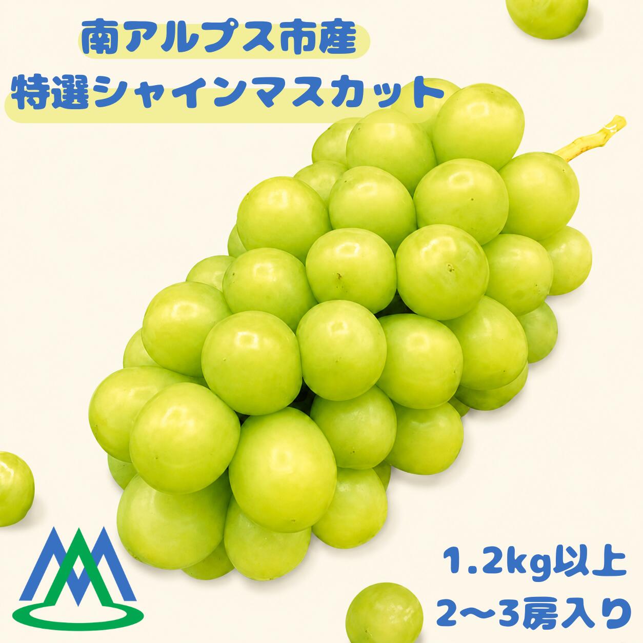 【ふるさと納税】南アルプス市産 特選シャインマスカット 1.2kg以上　1房入り ふるさと納税 シャインマスカット マスカット 葡萄 果物 フルーツ おすすめ 山梨県 南アルプス市 送料無料 ALPGB009