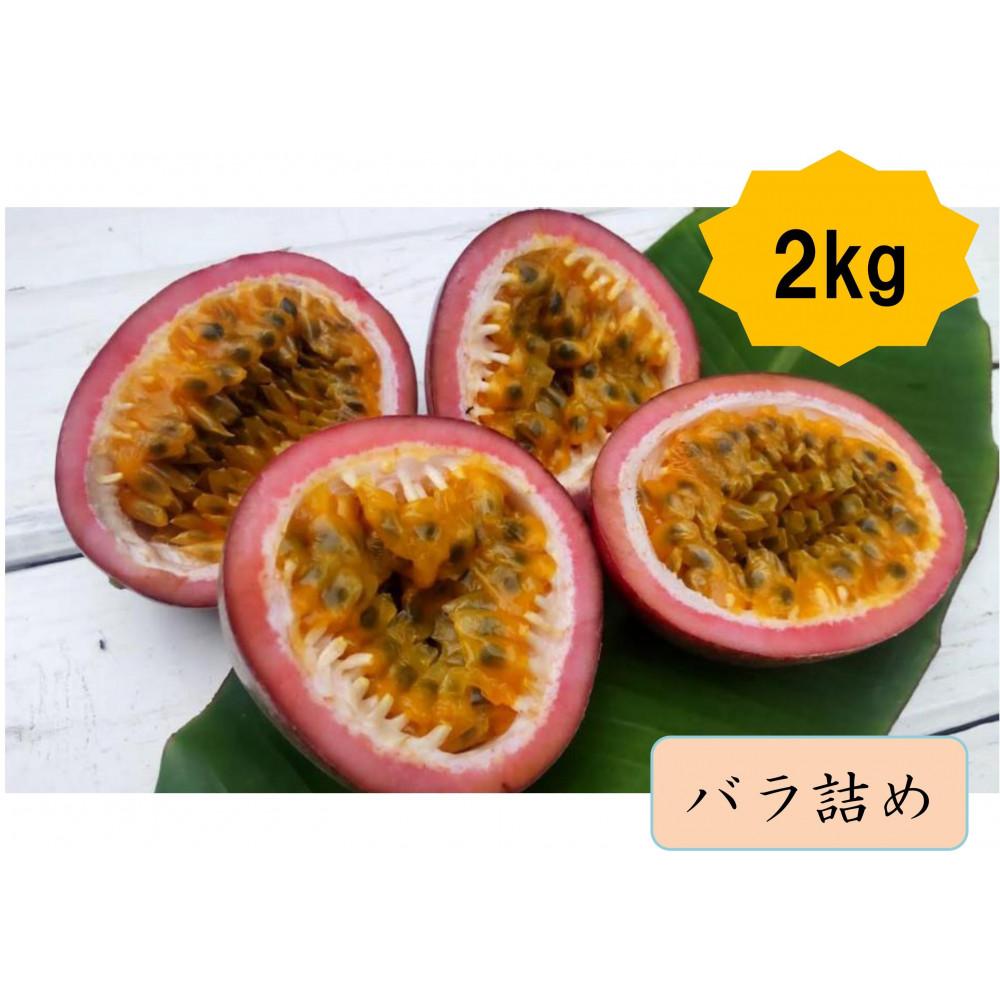 【ふるさと納税】【2025年夏発送】パッションフルーツ (2kg24個入りバラ詰) 2025年6月～出荷開始 リリコイ 南国フルーツ デザート 人気 鹿児島県 与論町　 | フルーツ 果物 食品 人気 おすすめ 送料無料