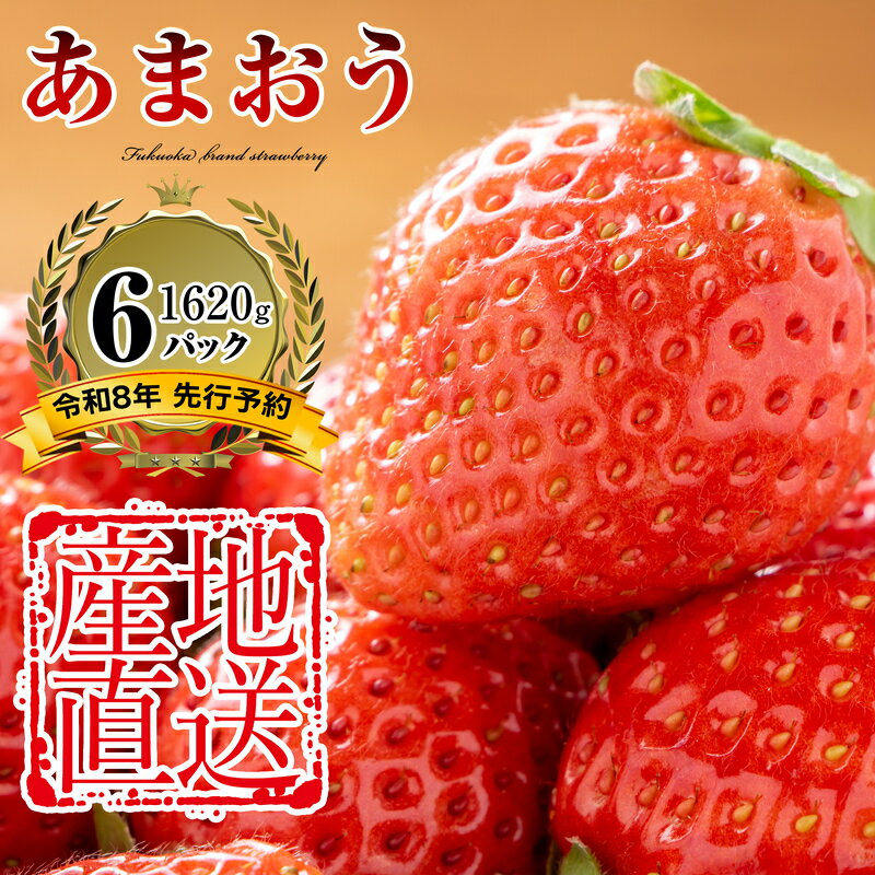 【ふるさと納税】先行予約 500件限定 2026年3月下旬～5月末までに発送 福岡県産 農家直送 あまおう 270g以上 6パック TY011-2【福岡県 須恵町】