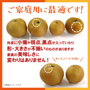 【2025年9月～10月上旬発送予定】九州福岡フルーツ王国八女　旬の梨　約５ｋｇ フルーツ くだもの 果物 なし ナシ 甘太 新興 王秋 産地直送 旬 秋の味覚 デザート 九州 福岡 フルーツ王国 八