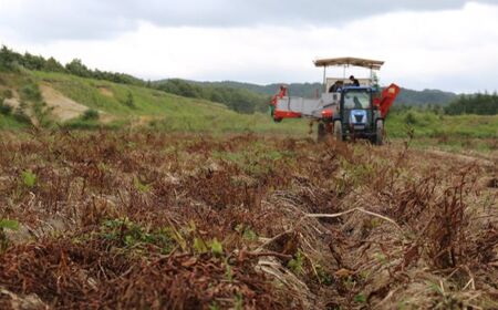 【2026年10月中旬頃発送予定】じゃがいも メークイン 10kg 先行予約 北海道 [AXAE002]