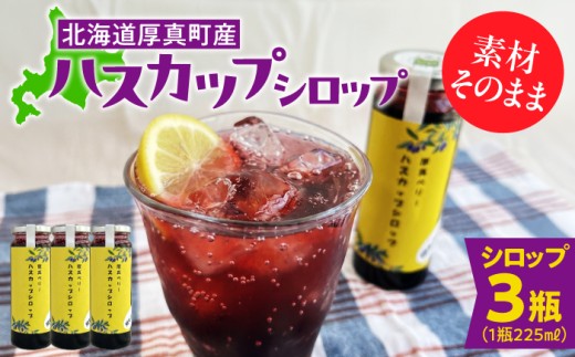 北海道厚真町産ハスカップシロップ3瓶セット《厚真町》【株式会社知熊屋】 [AXBN004]