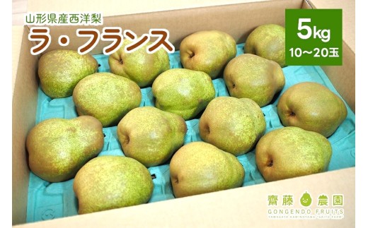 西洋梨（ラ・フランス）５ｋｇ　ご家庭用　0037-2609