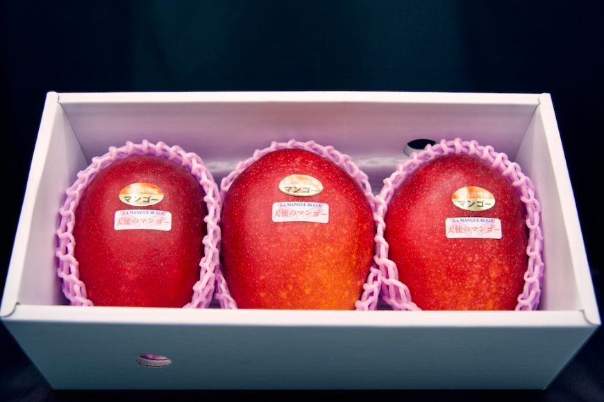 GZ002『天使のマンゴー』宮古島産アーウィンマンゴー 約1kg （3玉）【ご贈答用】「LA MANGUE BLEUE」農家直送