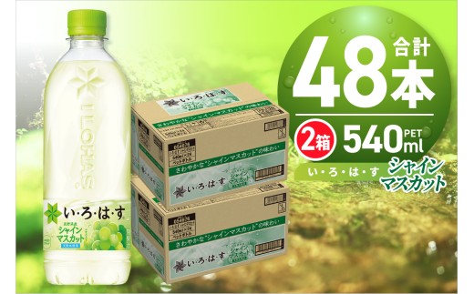 い・ろ・は・す シャインマスカット540mlPET×48本 いろはす フレーバー ドリンク ブドウ 天然水 ペットボトル 24本×2箱 計48本 飲料 リサイクルペット使用 札幌市