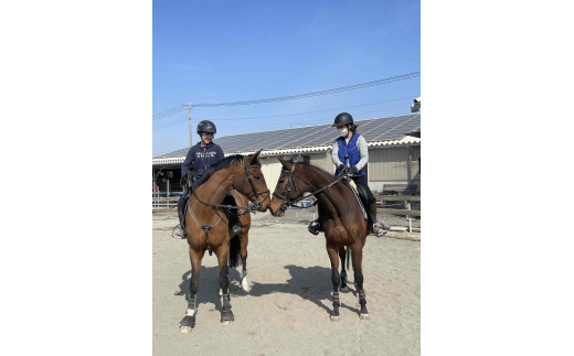 
【乗馬クラブアトラス】 乗馬体験3ヶ月体験コース（初級・経験者コース）
