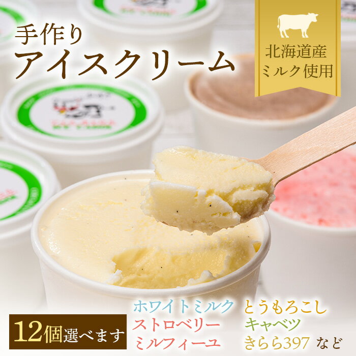 【ふるさと納税】北海道産 手作りアイスクリーム 120ml×12個セット(お好み詰め合わせ) 南幌町 道産牛乳 スイーツ デザート NP1-024