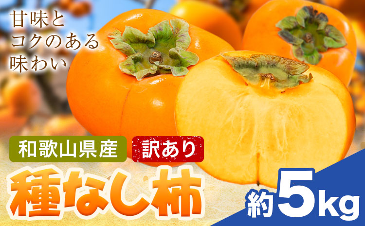 家庭用 種なし柿 約5kg 訳あり 池田鹿蔵農園《10月上旬-12月上旬頃出荷》和歌山県 日高町 刀根早生柿 平核無柿 ひらたねなしかき カキ 種なし柿