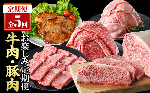 ＜定期便・全5回(連続)＞毎月違うお肉をお届け！お楽しみ定期便 (合計2.66kg以上)  牛肉 豚肉 定期便 【ナンチク】  T47
