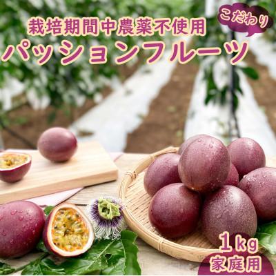 ふるさと納税 糸満市 【2026年発送・ご家庭用1kg(10玉前後)】栽培期間中農薬不使用のパッションフルーツ　