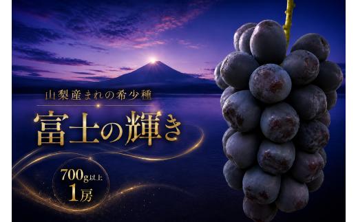 【2026年発送】先行予約 富士の輝き 富士の輝 ブラックシャインマスカット 1房 700g以上 山梨県産 希少 高級 黒系ぶどう 贈答 【山梨県笛吹市 産地直送】ぶどう フルーツ 果物 209-012-26y
