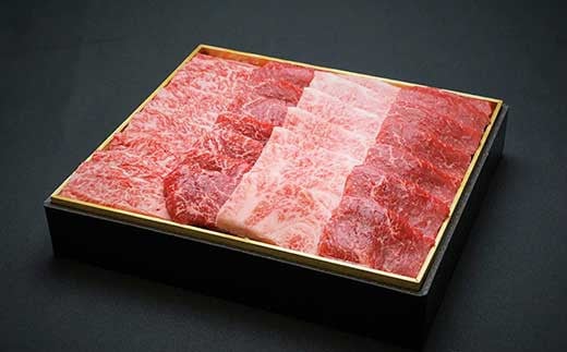 宮崎牛 切り落とし 霜降り ＆ 赤身 焼肉セット 700g カルビ モモ ウデ 赤身 国産牛 牛肉 お肉 冷凍 焼肉 焼き肉 BBQ バーベキュー 鉄板 ホットプレート ギフト 贈答用 贈り物 特別な
