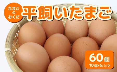 【平飼い たまご】 60個入【たまご 高知県 南国市】