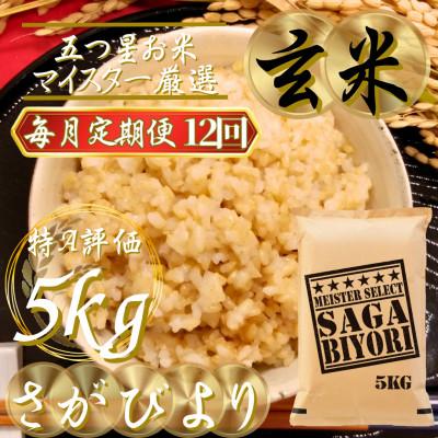 ふるさと納税 吉野ヶ里町 【毎月定期便】【玄米さがびより5kg】(吉野ヶ里町)全12回