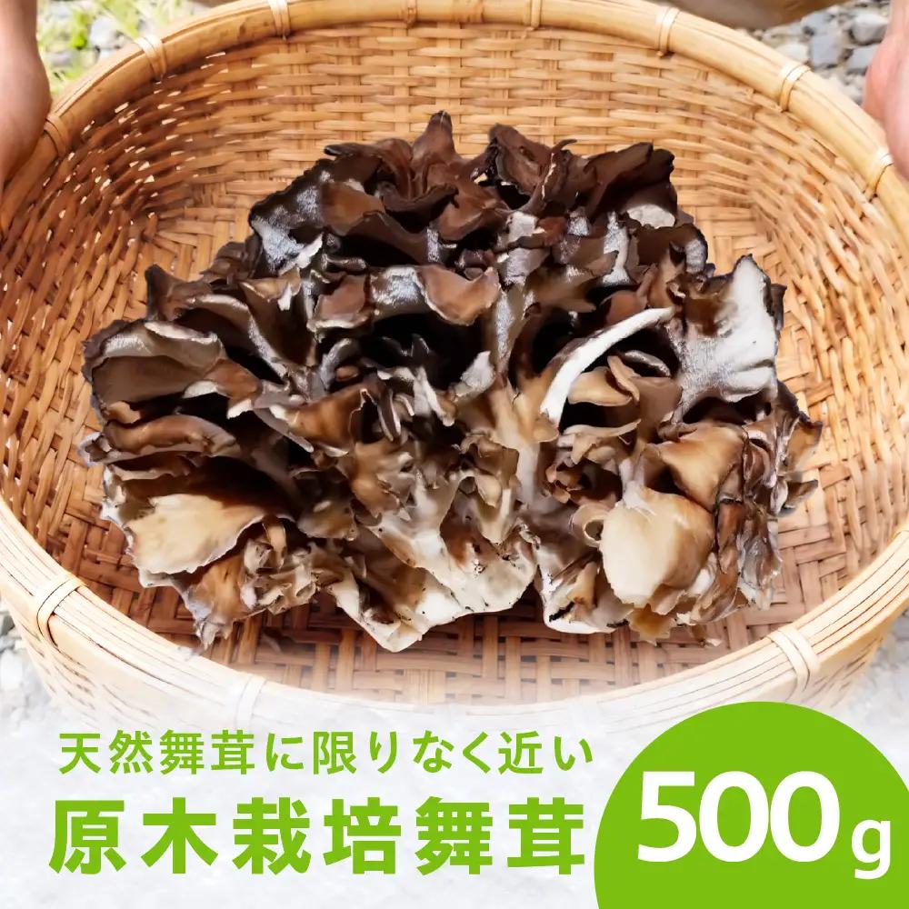 【9～10月発送】原木栽培舞茸500g | 舞茸 まいたけ 国産 野菜 やさい きのこ amrita農園 KM003