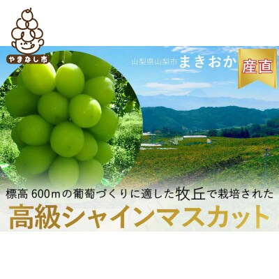 【2026年先行受付】巨峰の丘　ぶどうの専門家がお届けするシャインマスカット1房(700～800g)【配送不可地域：離島】