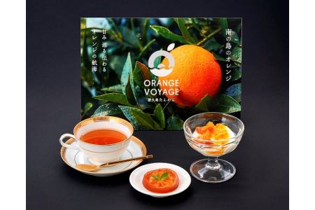 ＜特産品コンクール優秀賞受賞＞屋久島たんかんスライスママレード６個セット