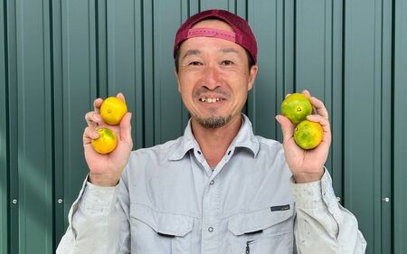 ＼訳あり／ ゆら早生みかん 10kg / みかん ミカン 和歌山県 柑橘 早生 甘い 蜜柑 フルーツ 果物 くだもの 食品  産地直送 由良町 ご家庭用 ゆら早生 早生みかん ※2026年10月上旬～
