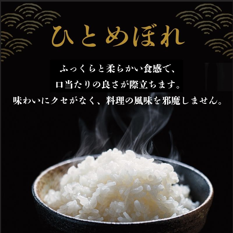 令和7年産新米 ひとめぼれ 20kg 米 亘理町産 精米 武田農園