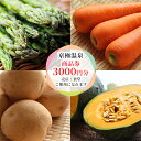 【ふるさと納税】【京極温泉】商品券3,000円分（施設内 売店・食堂）　【お食事券・チケット】